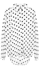 Polka Dot Collar Blouse