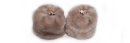 Faux Fur Cuffs