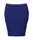 Zipper Back Seamed Panel Mini Skirt