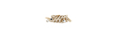 Evil Eye Woven Wrap Bracelet