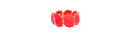 Coral Stone Bracelet