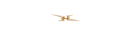 Double Jagged Edge Ring