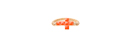 Orange Cross Bracelet