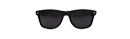 Wayfarer Sunglasses