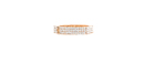 North Star Rhinestone Bracelet