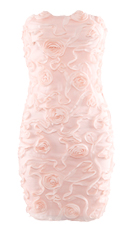 Strapless Rosette Dress