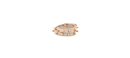 Spike Double Wrap Bracelet