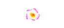 Flower Hair Clip