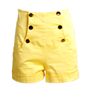 High Waisted Shorts