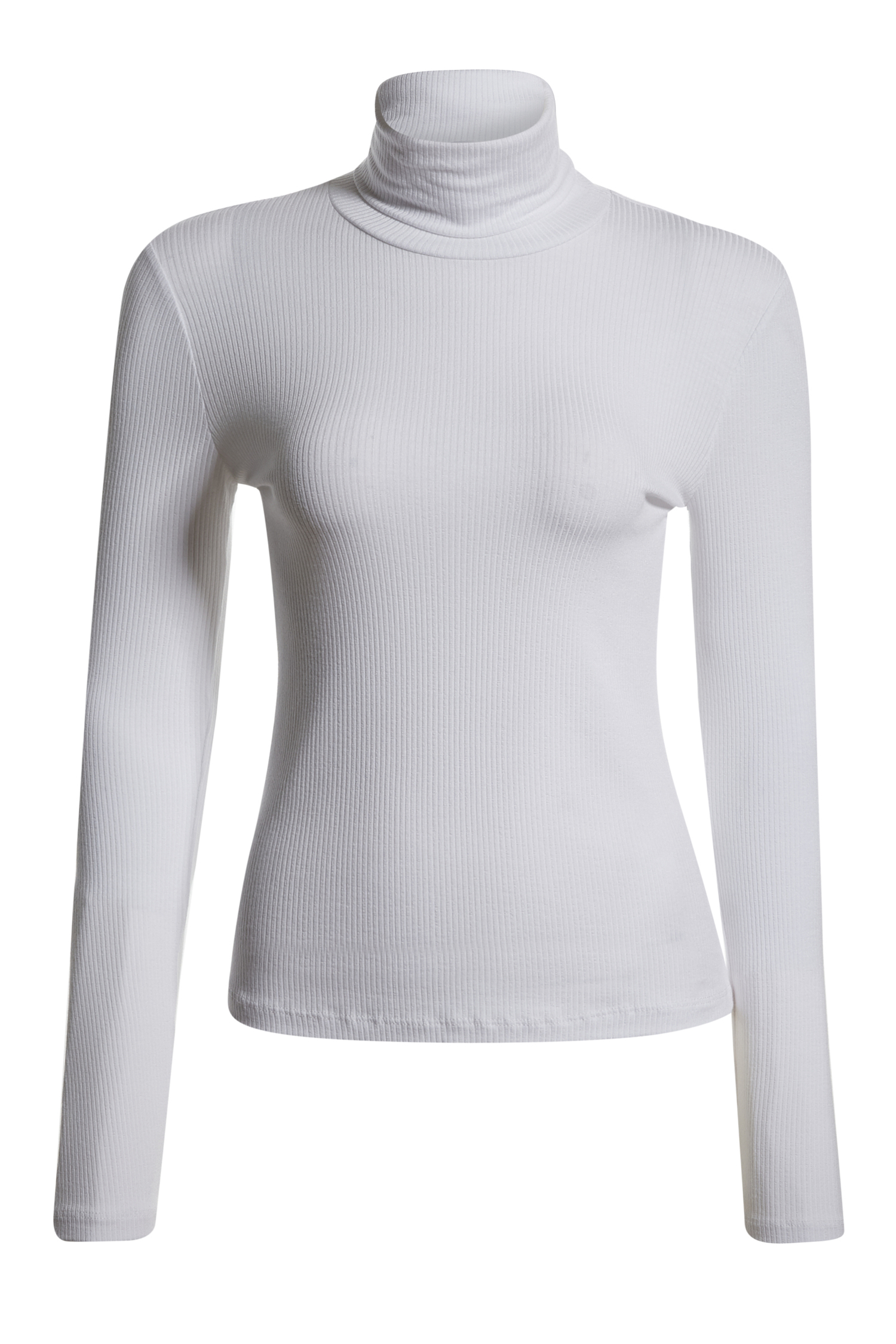 Long Sleeve Ribbed Turtleneck