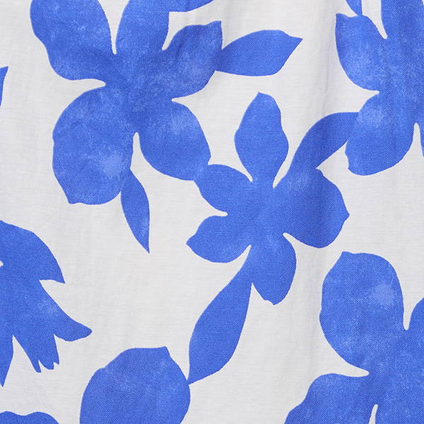 Blue/White