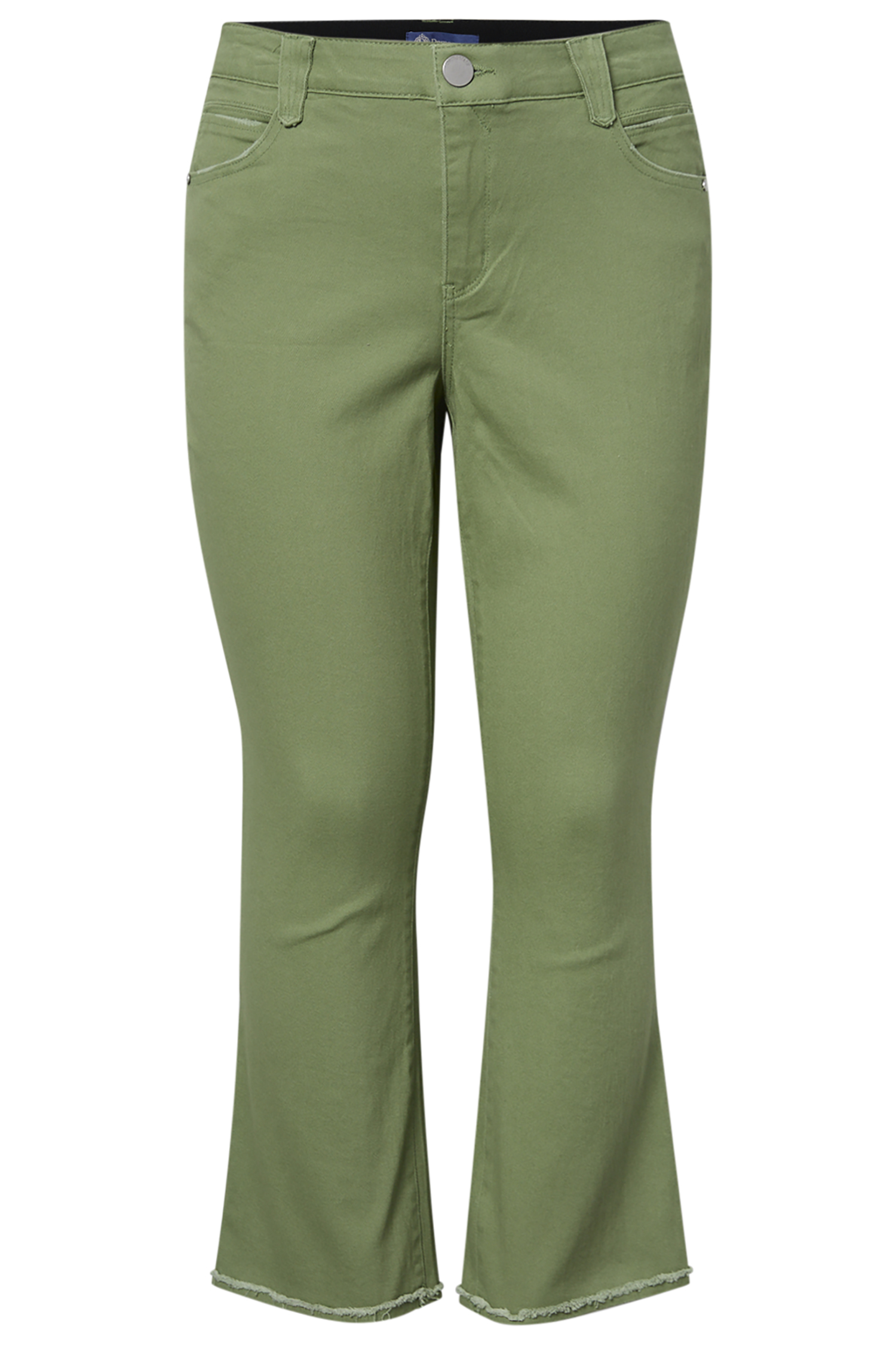 Democracy Flared Raw Hem Pants