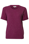 Short Sleeve Knit Top